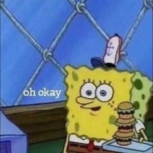 Meet your Posher, Promise